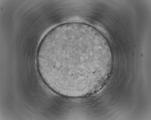 X0000067351288200604281432