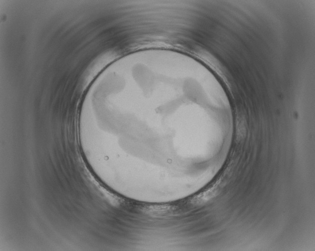 X0000067351290200604281432