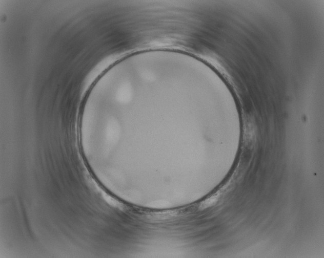 X0000067351294200604281432