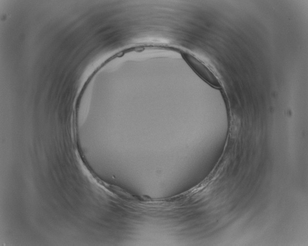 X0000067351295200604281432