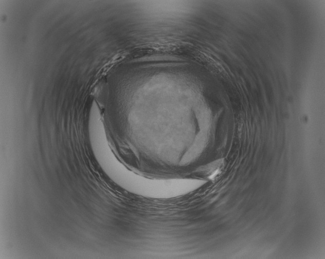 X0000067351298200604281431