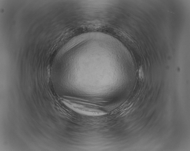 X0000067351299200604281431