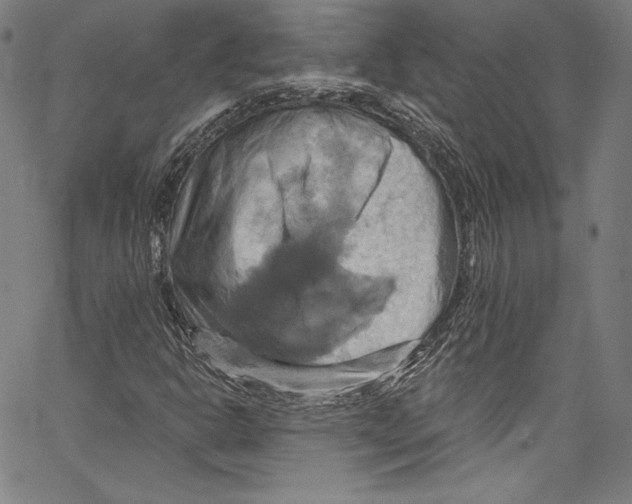 X0000067351302200604281431