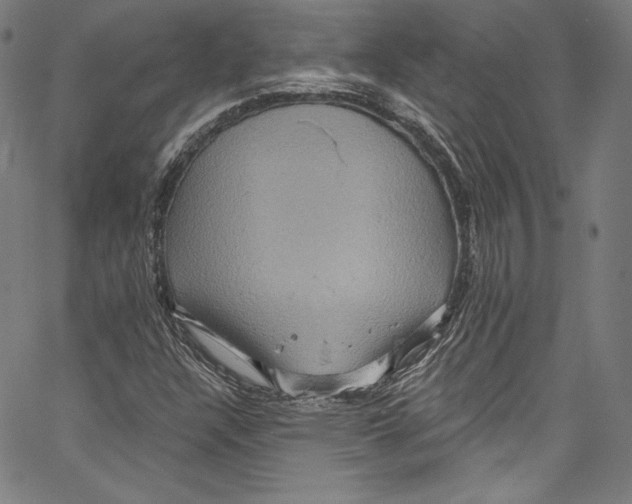 X0000067351304200604281431