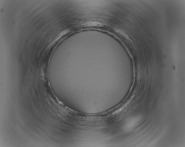 X0000067351305200604281432