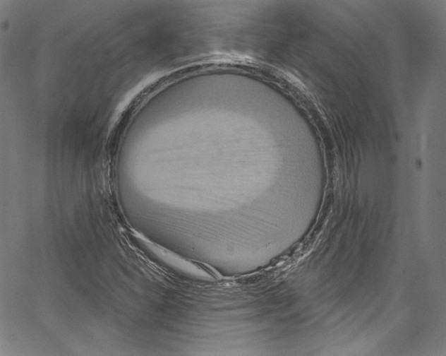 X0000067351310200604281432