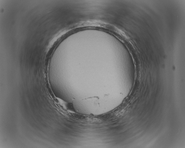 X0000067351312200604281432