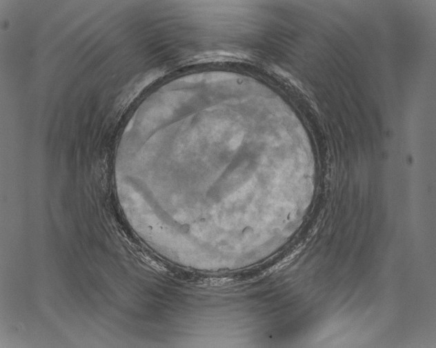 X0000067351313200604281432