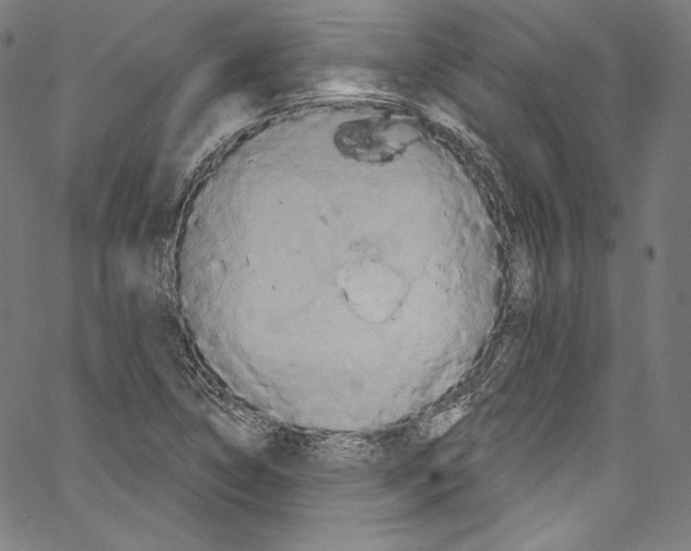 X0000067351314200604281432