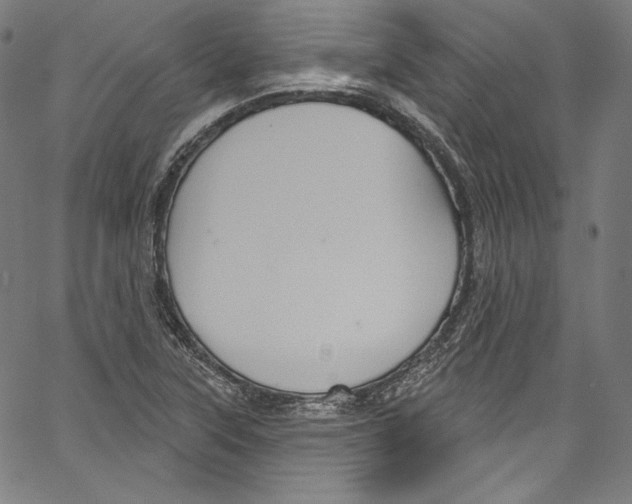 X0000067351315200604281432