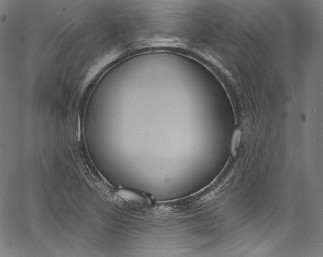 X0000067351317200604281432