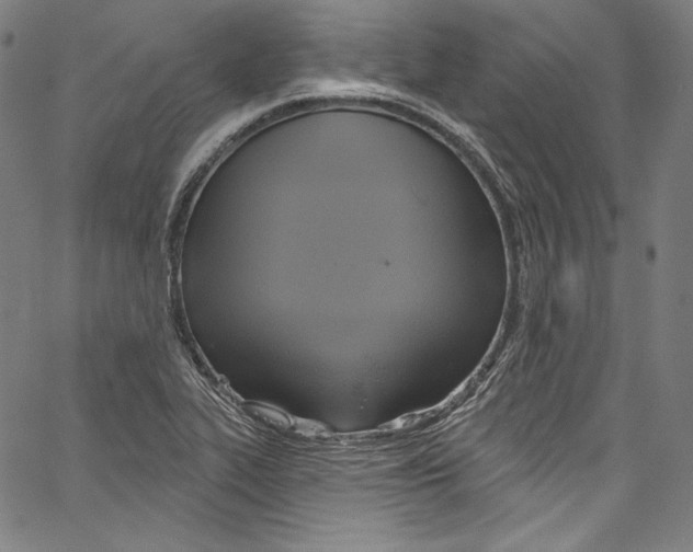 X0000067351319200604281432