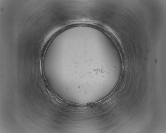 X0000067351320200604281432