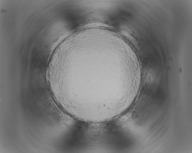 X0000067351322200604281432