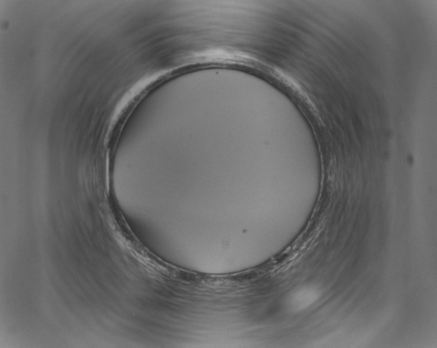 X0000067351323200604281432