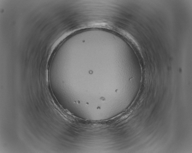 X0000067351324200604281432