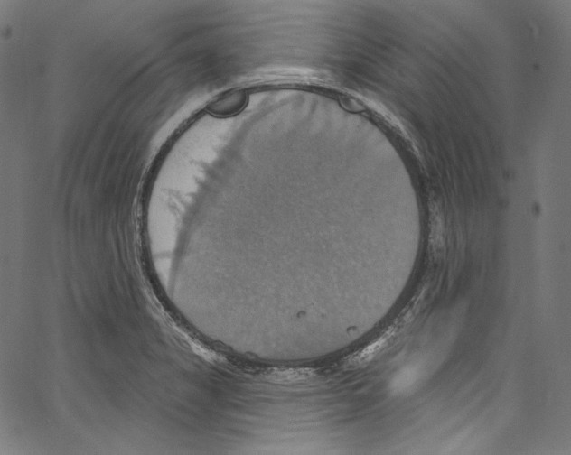 X0000067351325200604281432