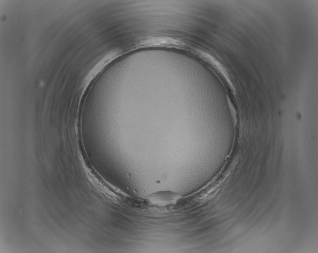 X0000067351330200604281432