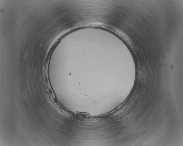 X0000067351332200604281432