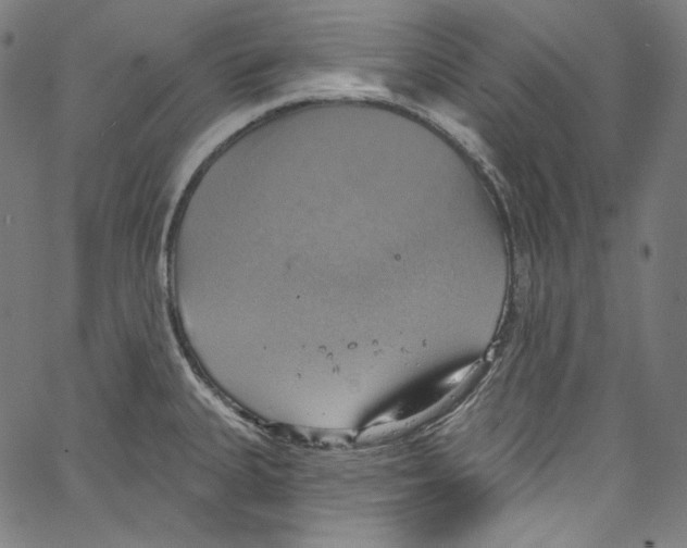 X0000067351335200604281432