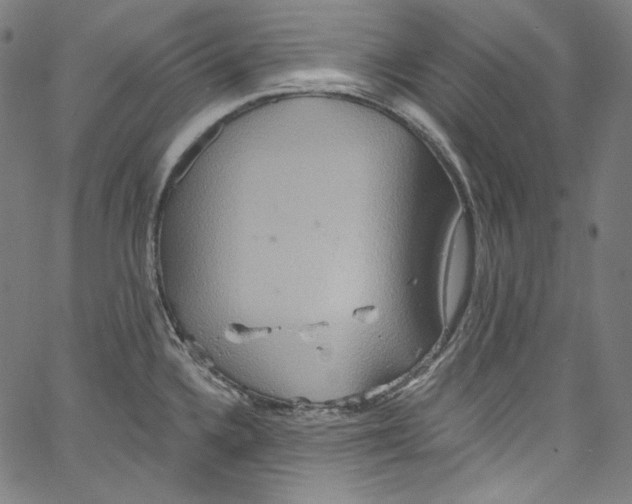 X0000067351336200604281432