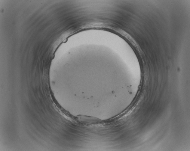 X0000067351337200604281432