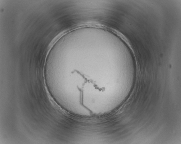 X0000067351338200604281432