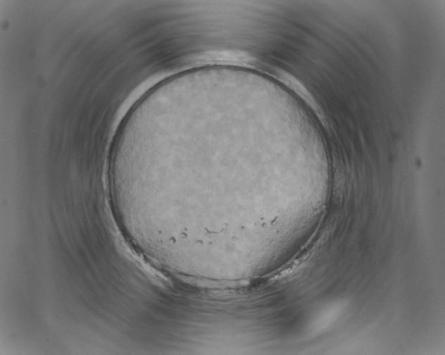 X0000067351339200604281432