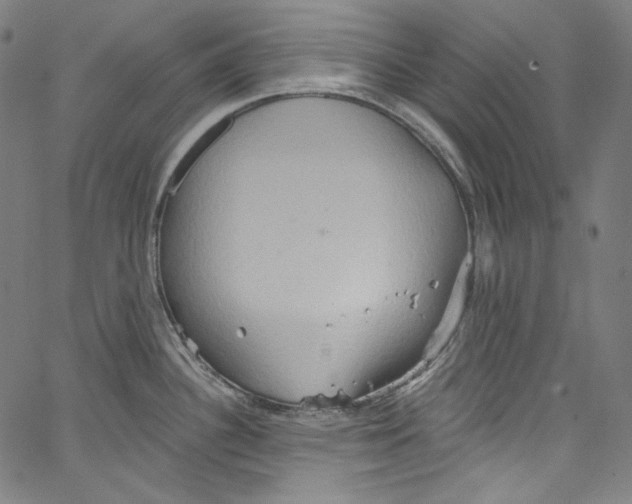 X0000067351340200604281432