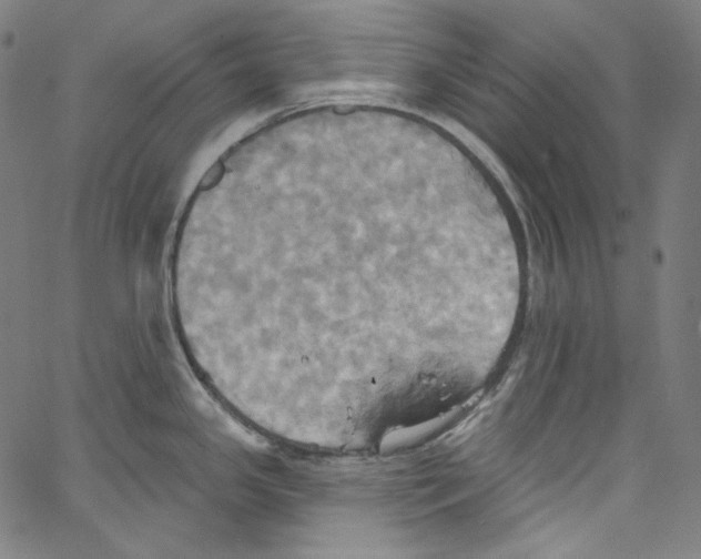 X0000067351341200604281432