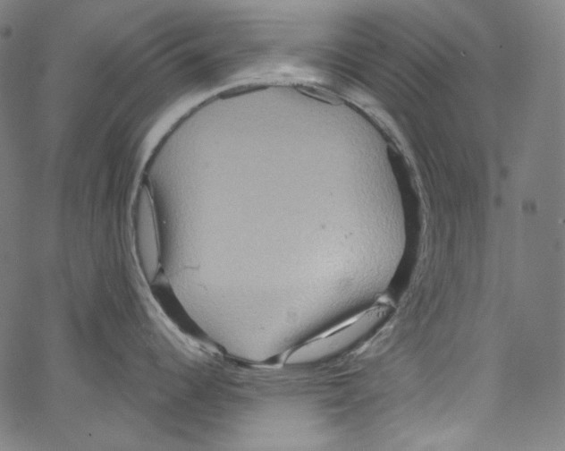 X0000067351344200604281432