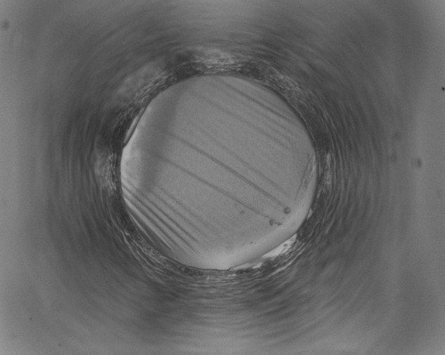 X0000067351346200604281431