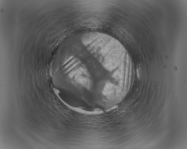 X0000067351347200604281431