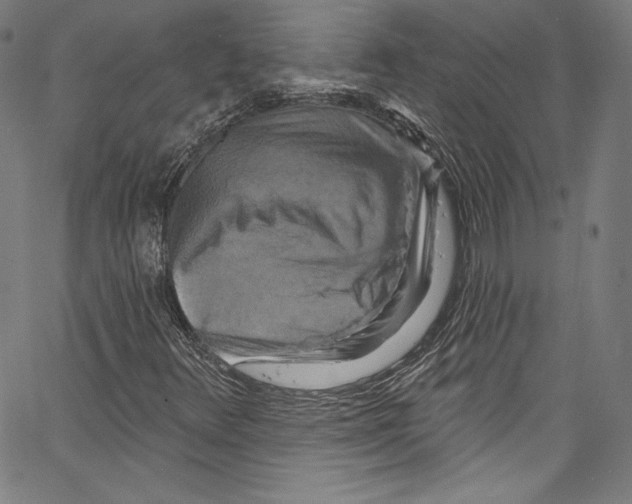 X0000067351348200604281431