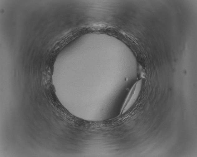 X0000067351349200604281431