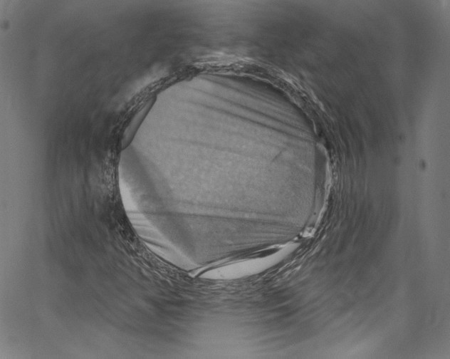 X0000067351350200604281431