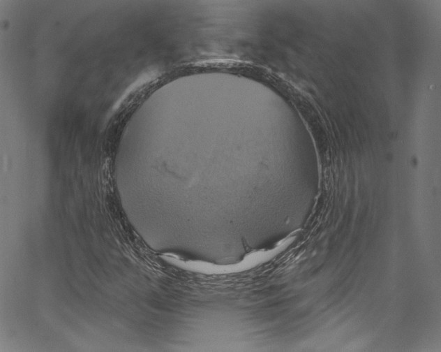 X0000067351351200604281431