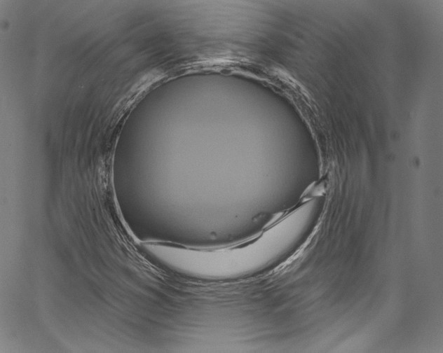 X0000067351353200604281431