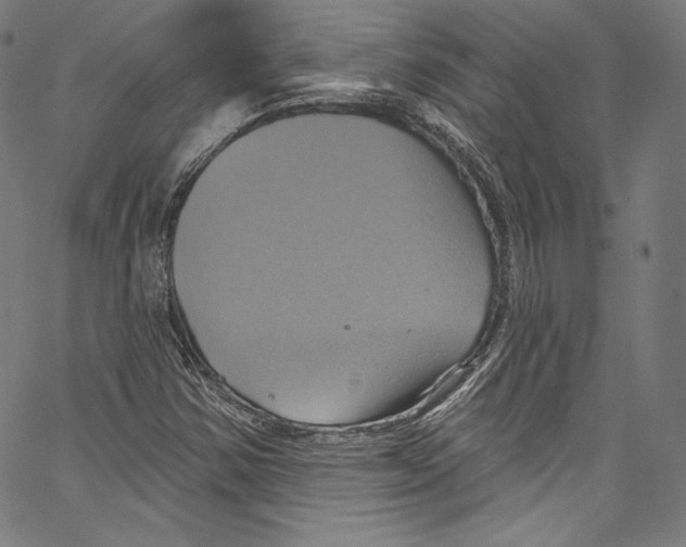 X0000067351354200604281431