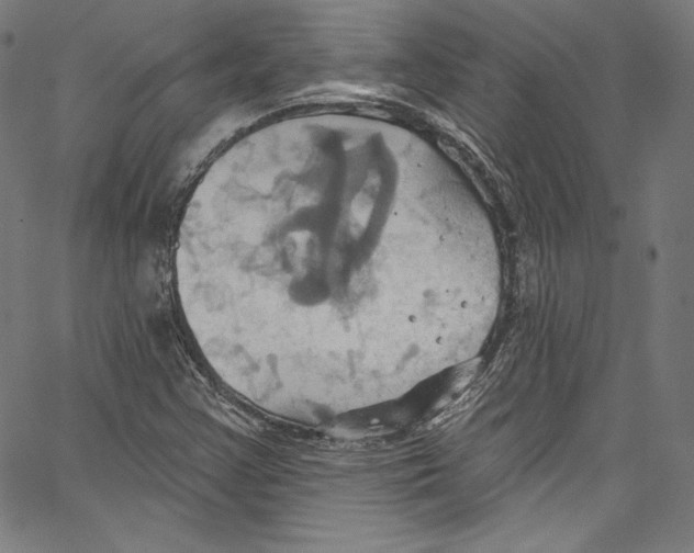 X0000067351355200604281431