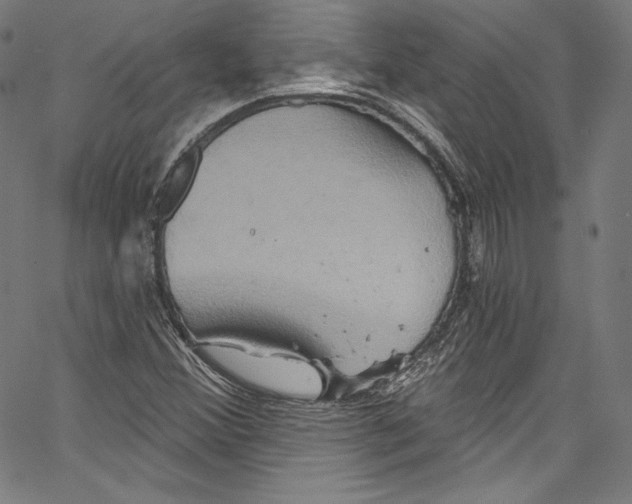 X0000067351356200604281431