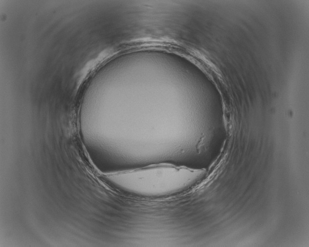 X0000067351357200604281431