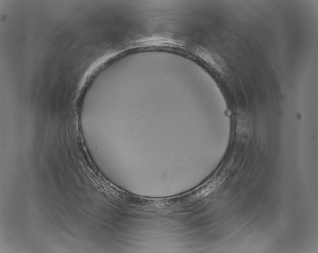 X0000067351358200604281431