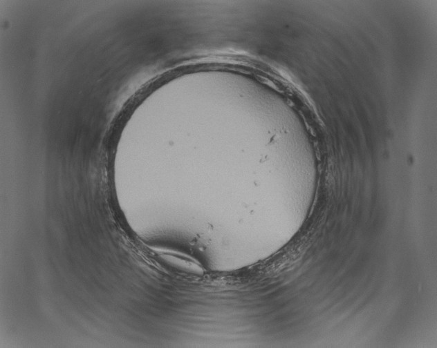 X0000067351360200604281431