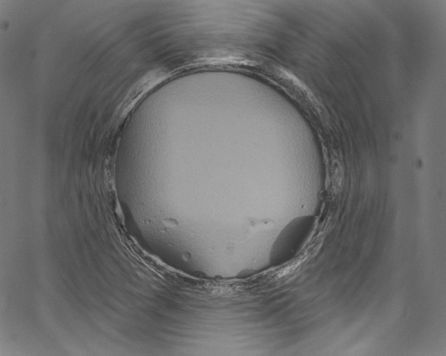 X0000067351361200604281431