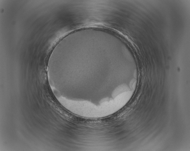 X0000067351363200604281431