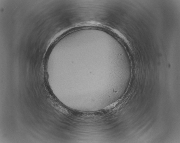 X0000067351364200604281431