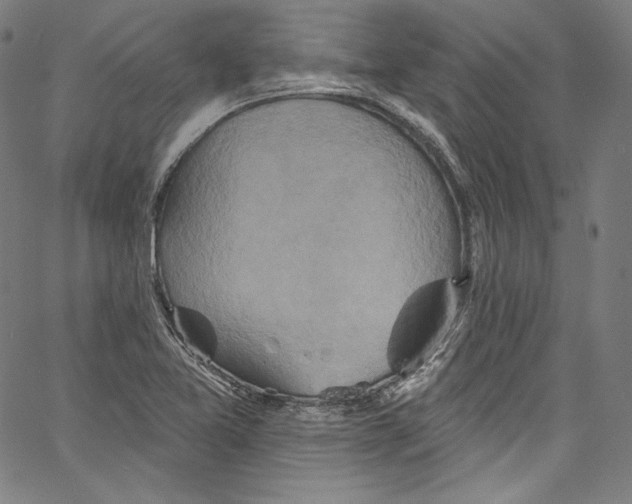 X0000067351365200604281431