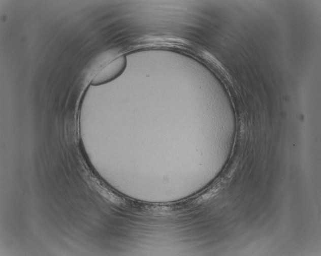 X0000067351370200604281431