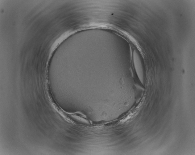 X0000067351373200604281431